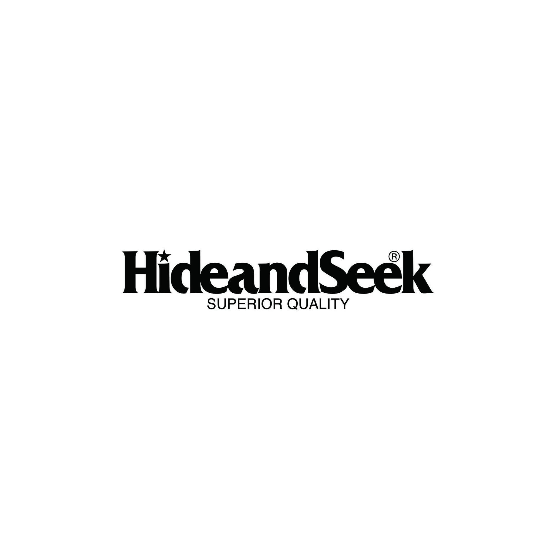HIDEANDSEEK_LOGO2021_LP