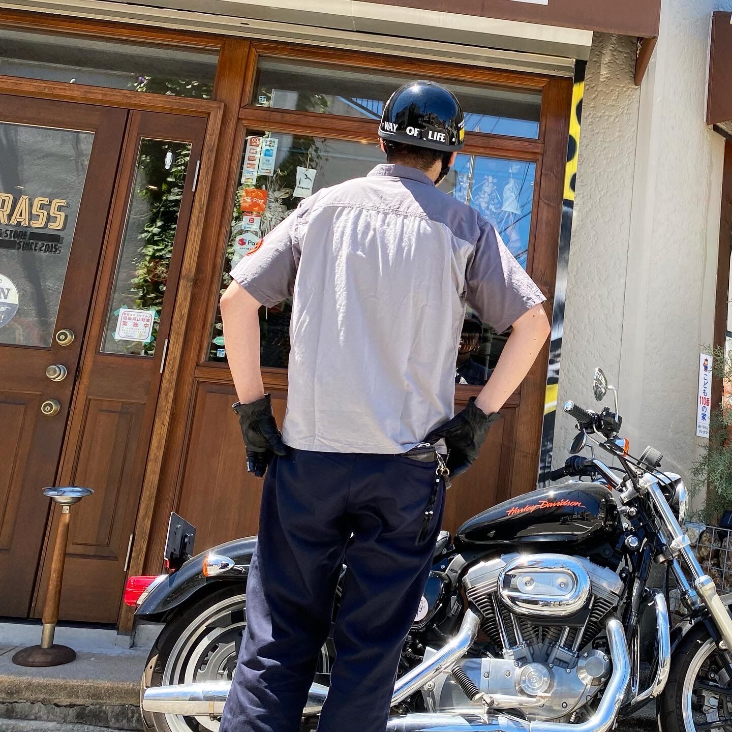 rats22ss-041y