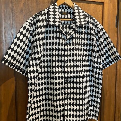 rats24ss-035a